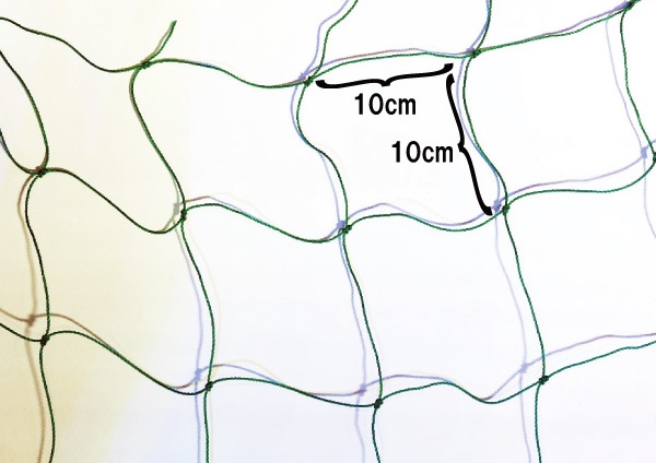 ����ѥͥå� 10cm��