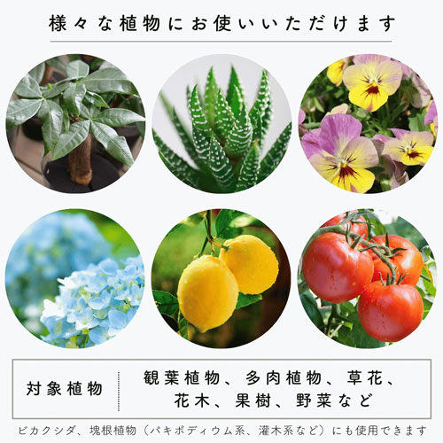 쥨ե ǤƥߥȤ ͭ 25ml