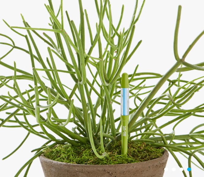 SUS��TEE�ʥ����ƥ�����S��M��L������