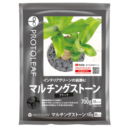 �ڥץ��ȥ꡼�աۥޥ���󥰥��ȡ��󡡥֥�å�