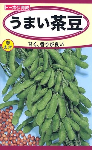 ���ޤ���Ʀ