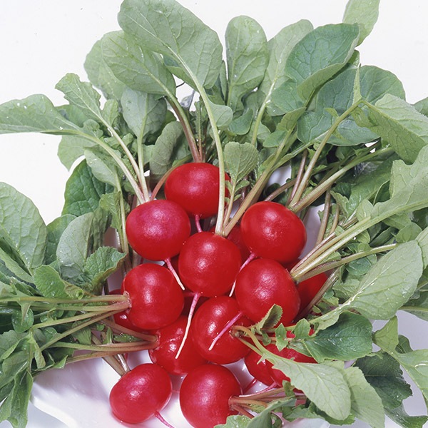 �ִݤϤĤ�����ǥ��å���