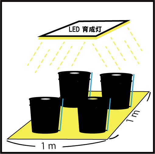 GreenRoom(ML)��LED���ꥹ���륹�ݥ�400&��̴�4��&����������å�