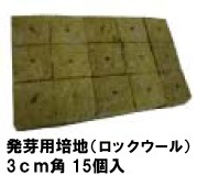 GreenRoom(ML)��LED���ꥹ���륹�ݥ�400&��̴�4��&����������å�