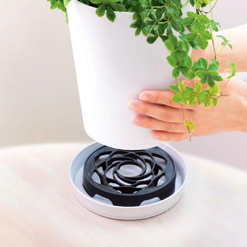 �֤��������̵����ӿ�Ǥ���ݥåȥ������