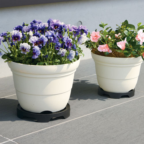 �֤��������̵����ӿ�Ǥ���ݥåȥ������