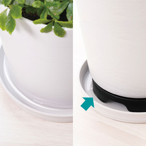 �֤��������̵����ӿ�Ǥ���ݥåȥ������