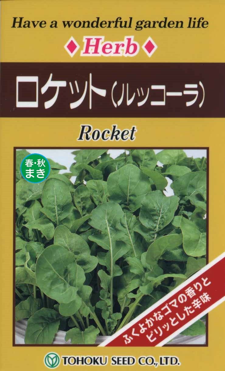 ロケット（ルッコーラ） | 種（トーホク） | Tree people