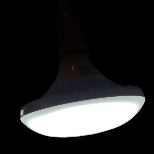 LED PAR-LIGHT 20w +UV