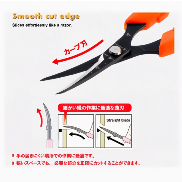 �ڶ��ڡ� �˺�����ϥ��ߡ��ʿ� PT-21