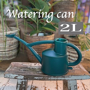 �ץ饹���å����硼����green��2L