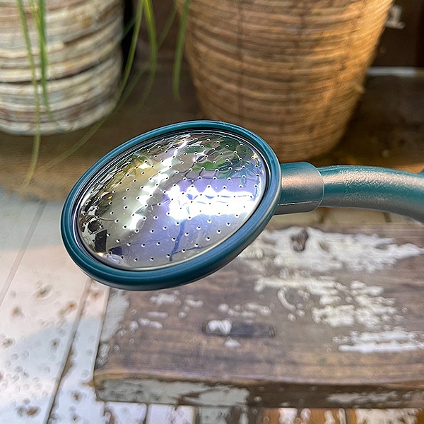 �ץ饹���å����硼����green��2L