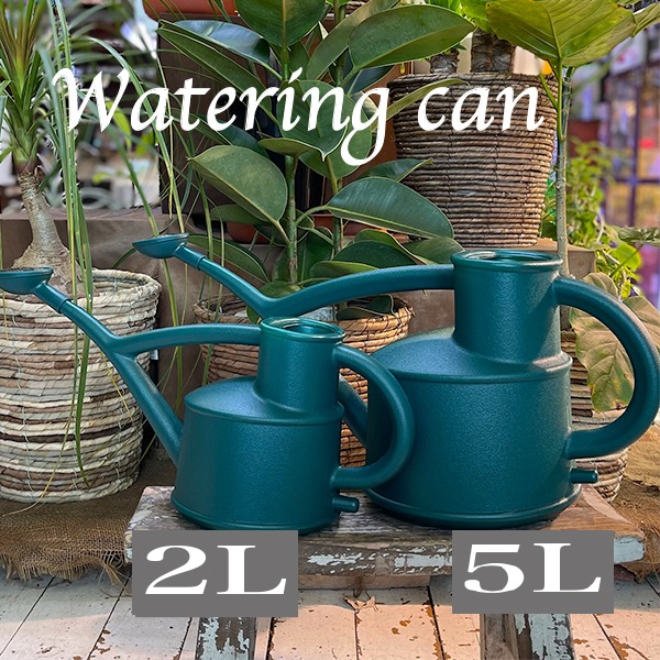 �ץ饹���å����硼����green��2L