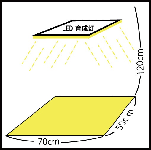 GreenRoom(S)��LED���ꥹ���륹�ݥ�100