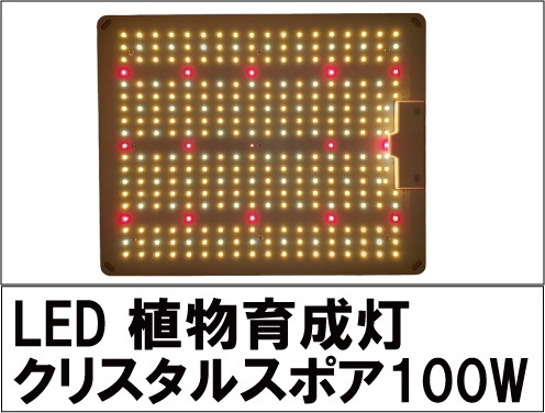 GreenRoom(S)��LED���ꥹ���륹�ݥ�100