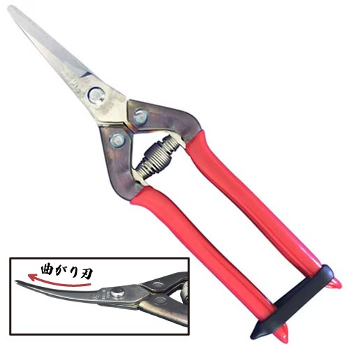 �ڶ����� ���ꡦ���ϥϥ��ߡ��ʿ� T-55SR