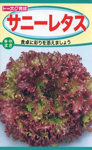 サニーレタス | 種（トーホク） | Tree people