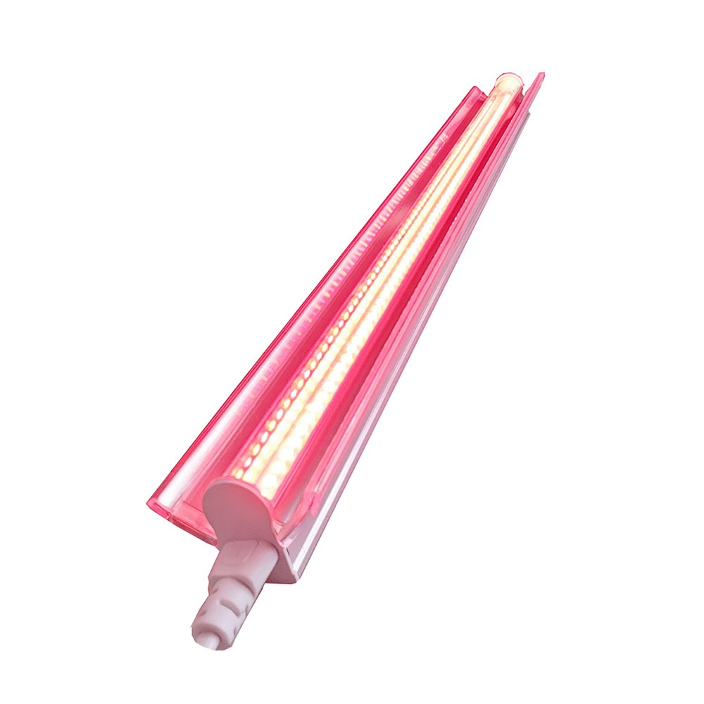 LED AKA LIGHT