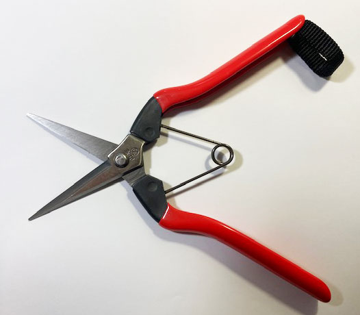 Ŧ�̥ϥ��� ����