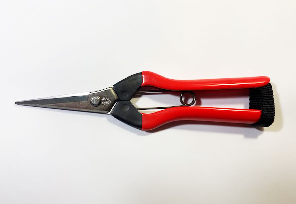 Ŧ�̥ϥ��� ����