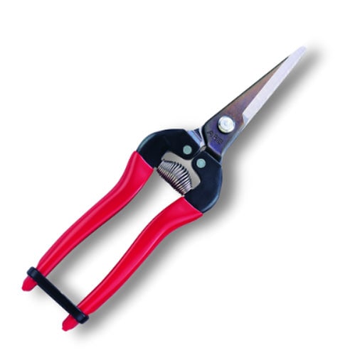 �ڥ��륹��Ŧ�̥ϥ��� ���󥰥����� 300L-BP