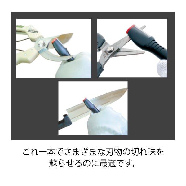 �ڶˡ�Ķ����ǽ�ϸ�����PT-8