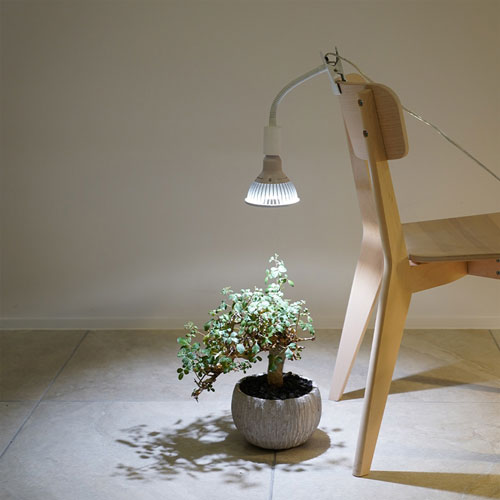 BARRELۥå׼ 饤ȥåȡʥ֥å