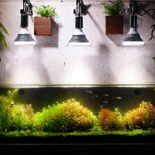 BARRELۥå׼ 饤ȥåȡʥ֥å