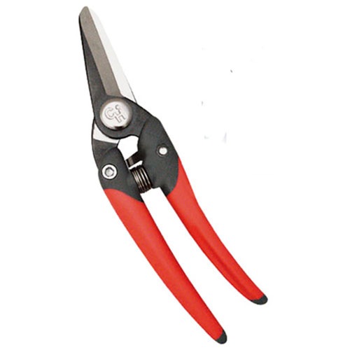 ڶ ϥ 2000 JP-2000