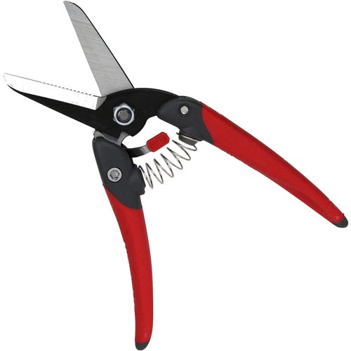 ڶ ϥ 2000 JP-2000