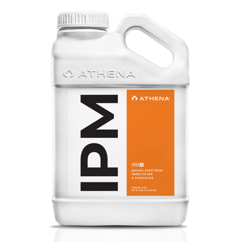 ��ATHENA�� IPM