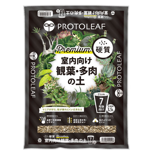 ڥץȥ꡼աۼա¿ γ ץߥ 