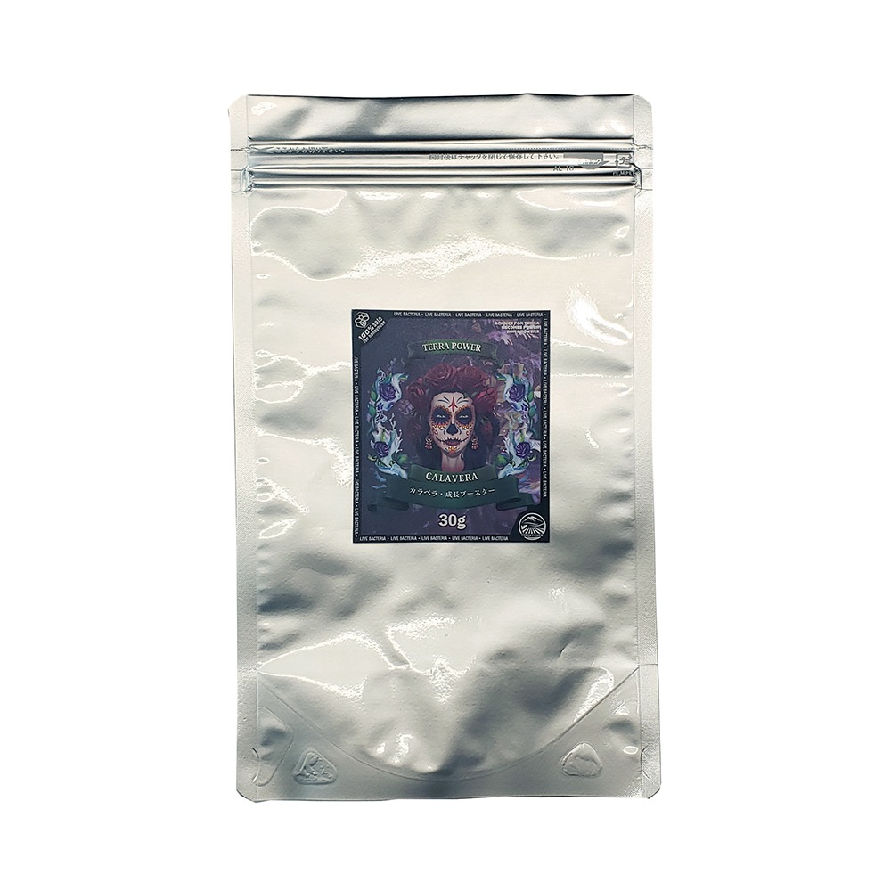 ��TERRA POWER�� LA CALAVERA (�顦����٥�)