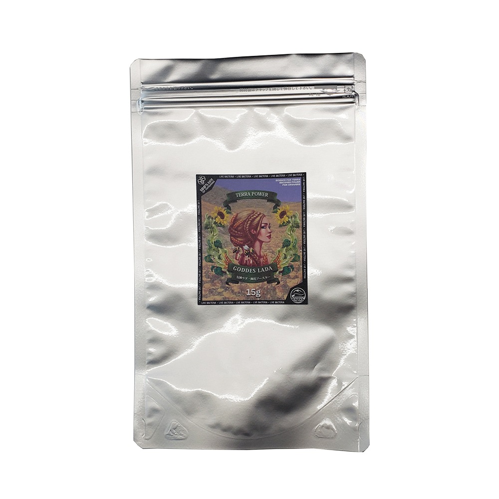 ��TERRA POWER�� GODDESS LADA (���åǥ������)