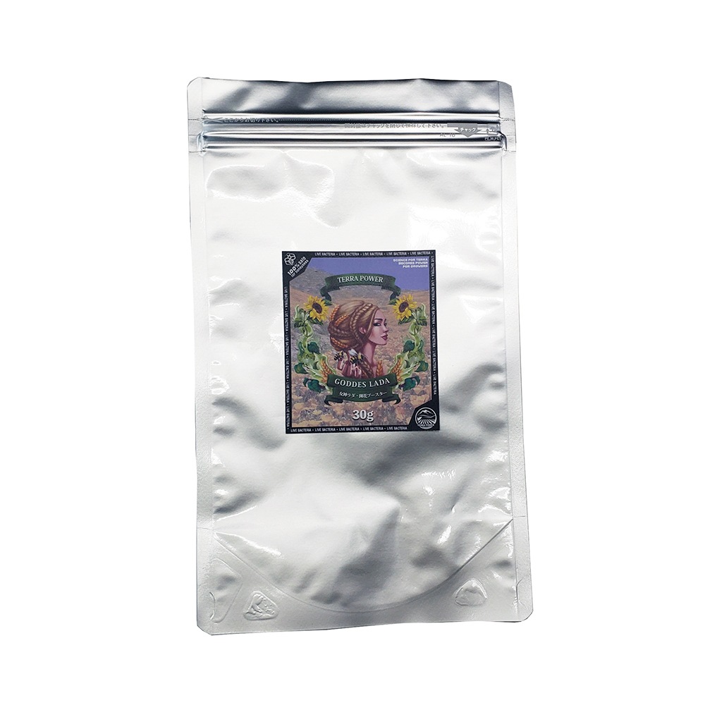 ��TERRA POWER�� GODDESS LADA (���åǥ������)