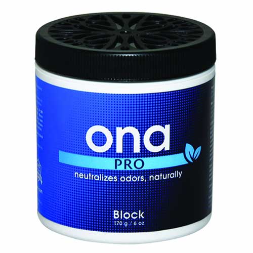 ��ONA��  BLOCK (�������º�)