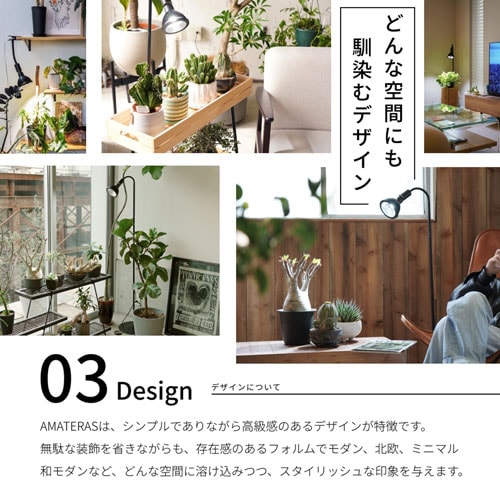 BARRELNEO AMATERAS 20Wʥ֥å