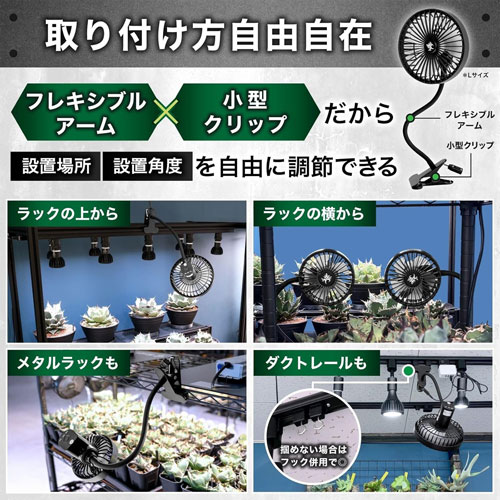 ��Kaiju Plant�۲��åե���
