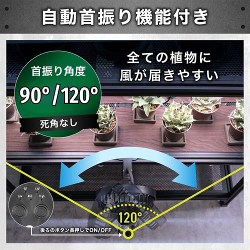 ��Kaiju Plant�۲��åե���