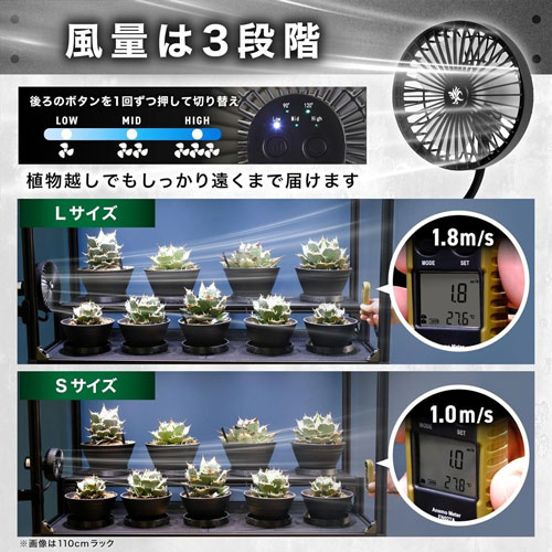 ��Kaiju Plant�۲��åե���