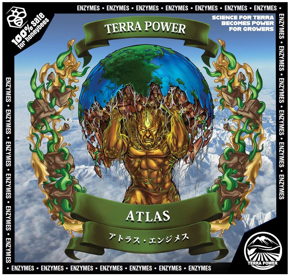 ��TERRA POWER�� ATLAS (���ȥ饹��