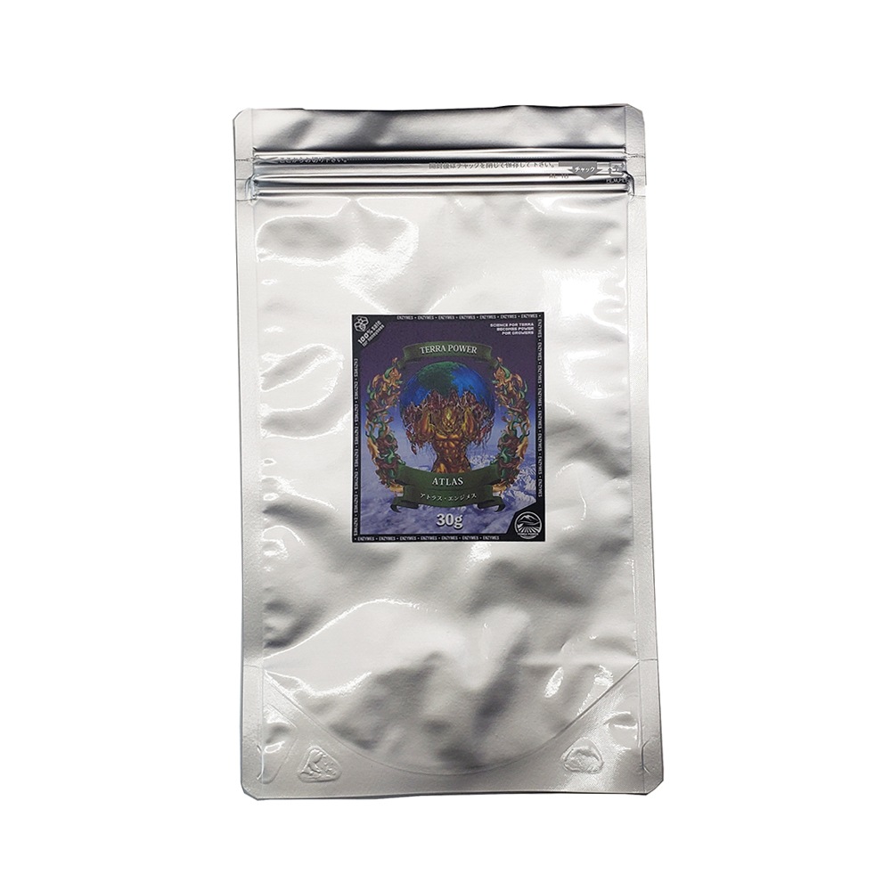 ��TERRA POWER�� ATLAS (���ȥ饹��