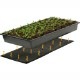 HYDROFARM Germination station (ҡޥåդȯɡ