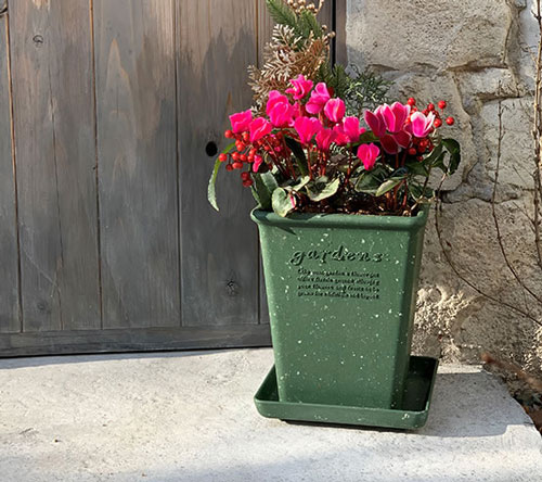 �ѥԥ������ݥå� �ѷ����� 190(���դ�)