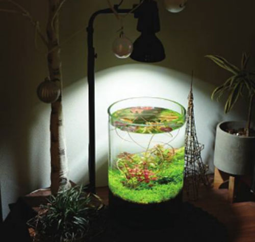 BARRELAMATERAS 10Wʥ֥å