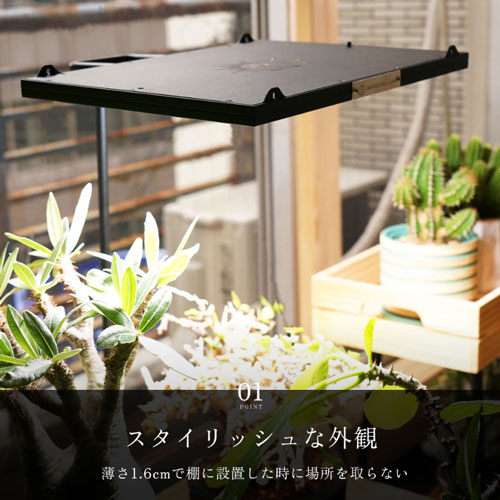 ��BARREL��ROKI �ѥͥ�饤�� 100W