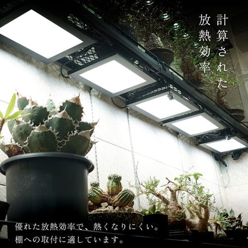 ��BARREL��ROKI �ѥͥ�饤�� 100W