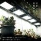 ��BARREL��ROKI �ѥͥ�饤�� 100W