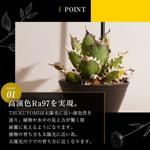 ��BARREL��TSUKUYOMI 10W�ʥ�����ɡ�