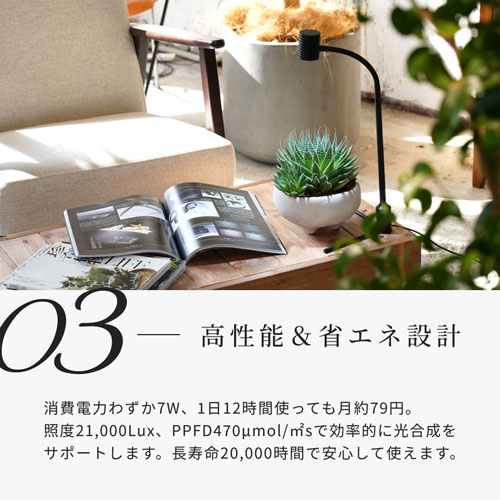 BARRELYEW-7W ɥ饤 7Wʥ֥å